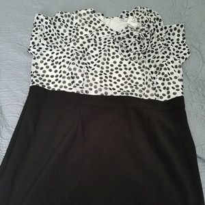 Black and white knee length dress